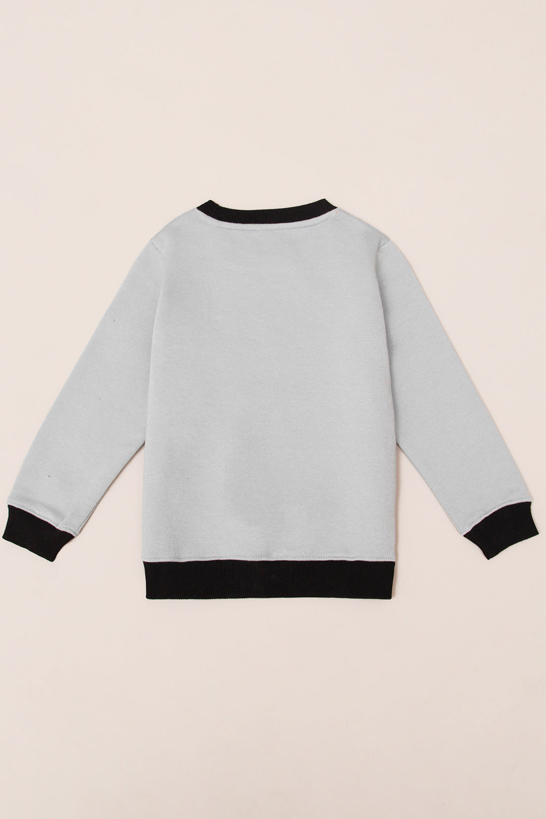 Boy's Real Skater Sweat Shirt