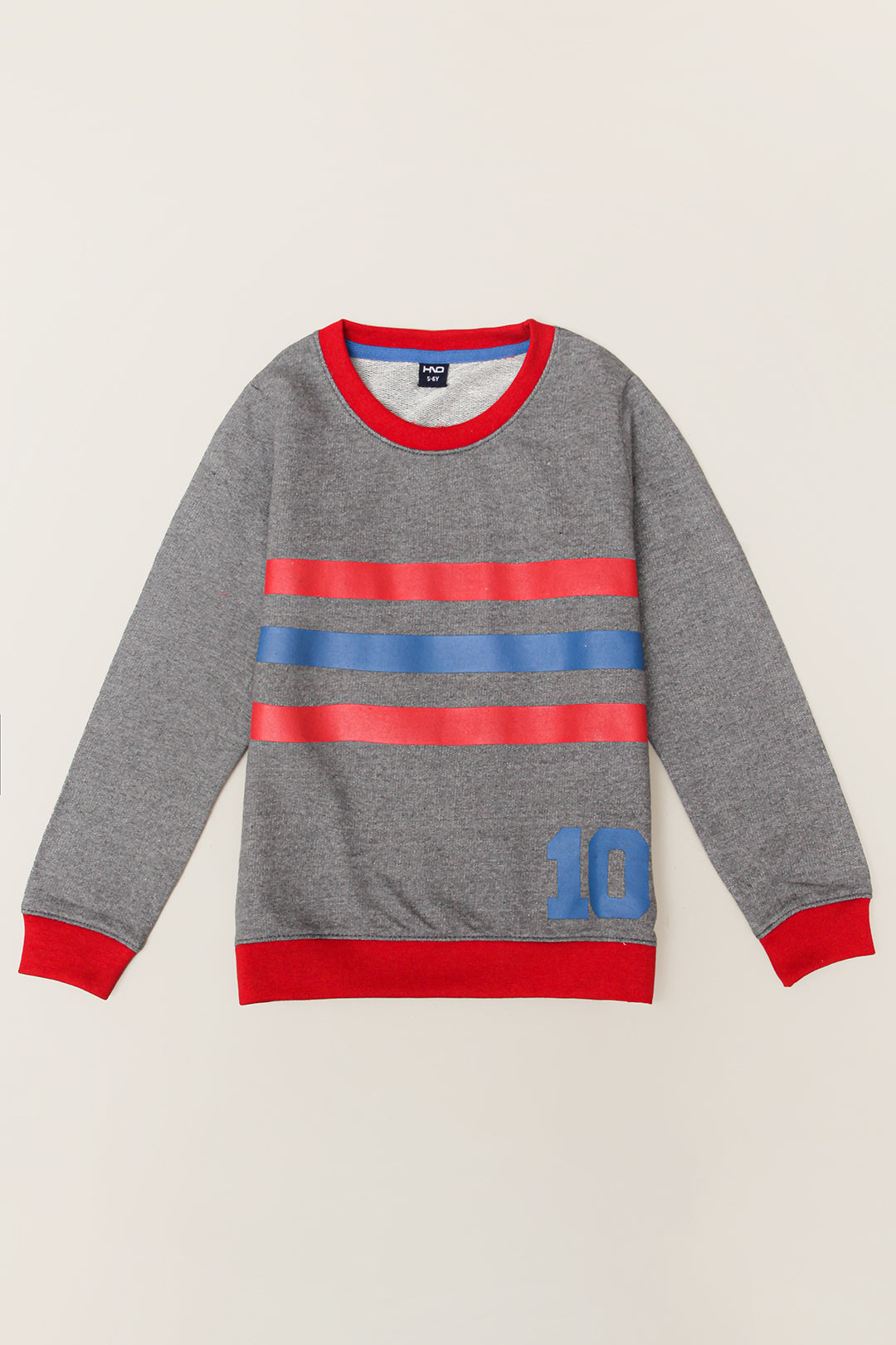 Boy's Printed Sweat Shirt