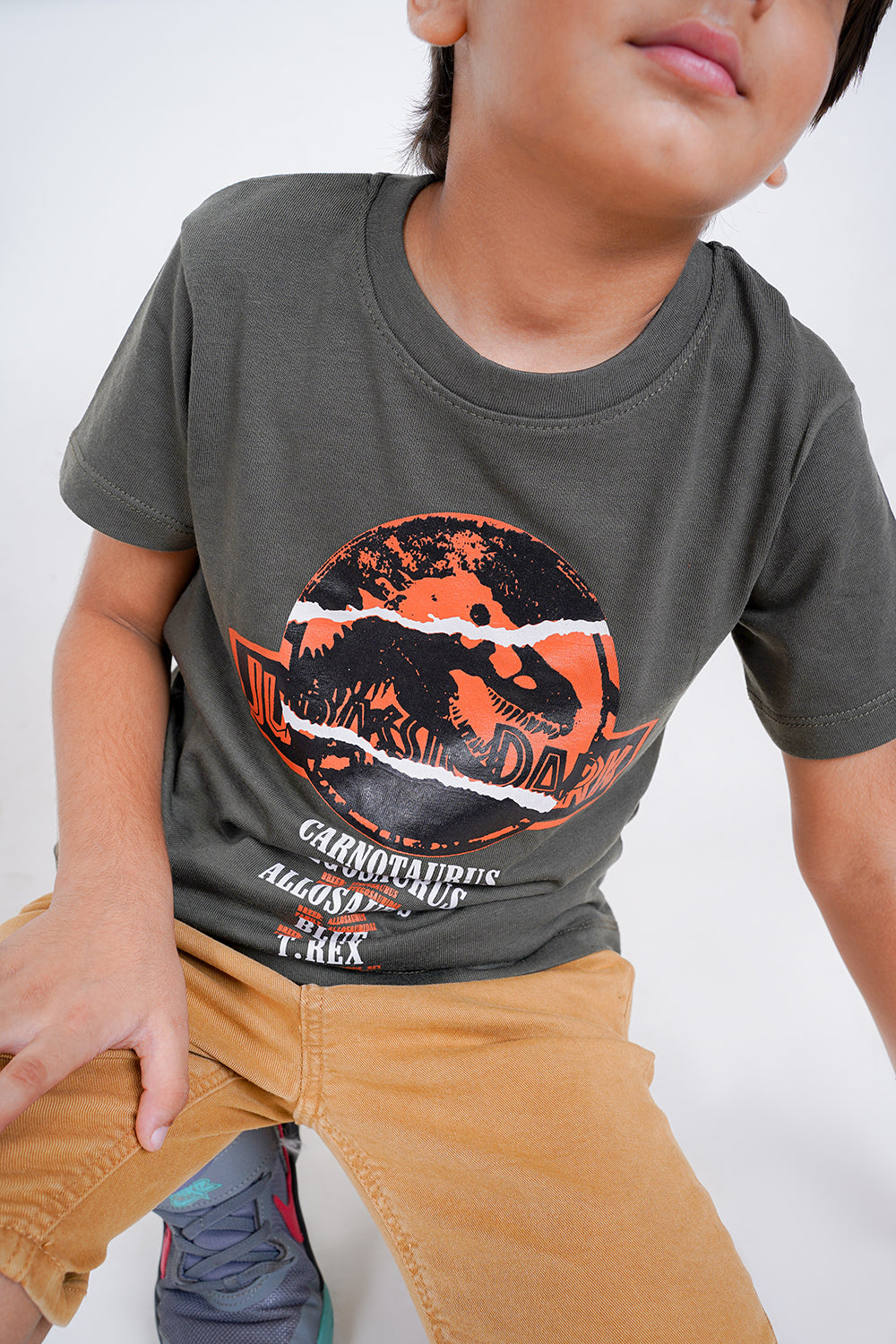 Jurassic Park T-Shirt For Boys