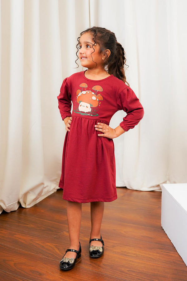 Full Sleeve Girls Dress